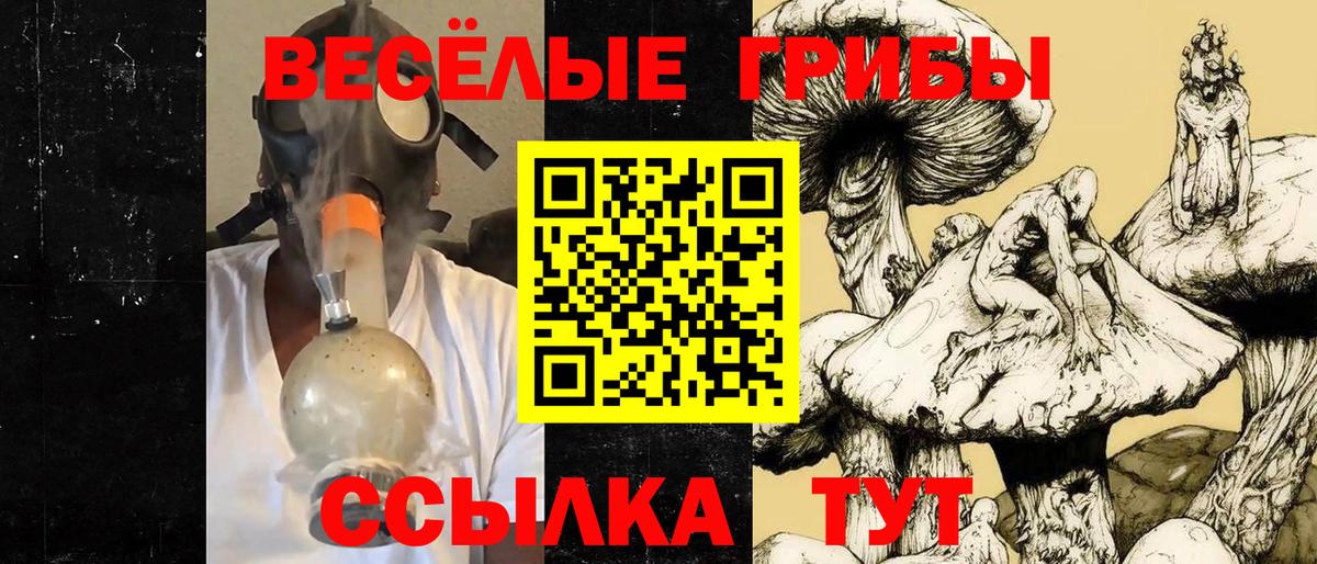 Псилоцибиновые грибы прущие грибы  Вход с VPN  Сосновоборск  Псилоцибиновые грибы мухоморы 